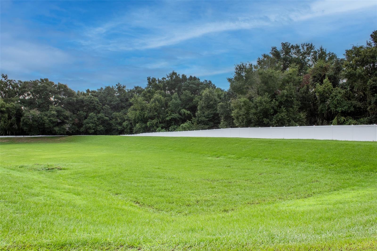 16339 SW 14TH AVENUE RD, OCALA, FL, 34473