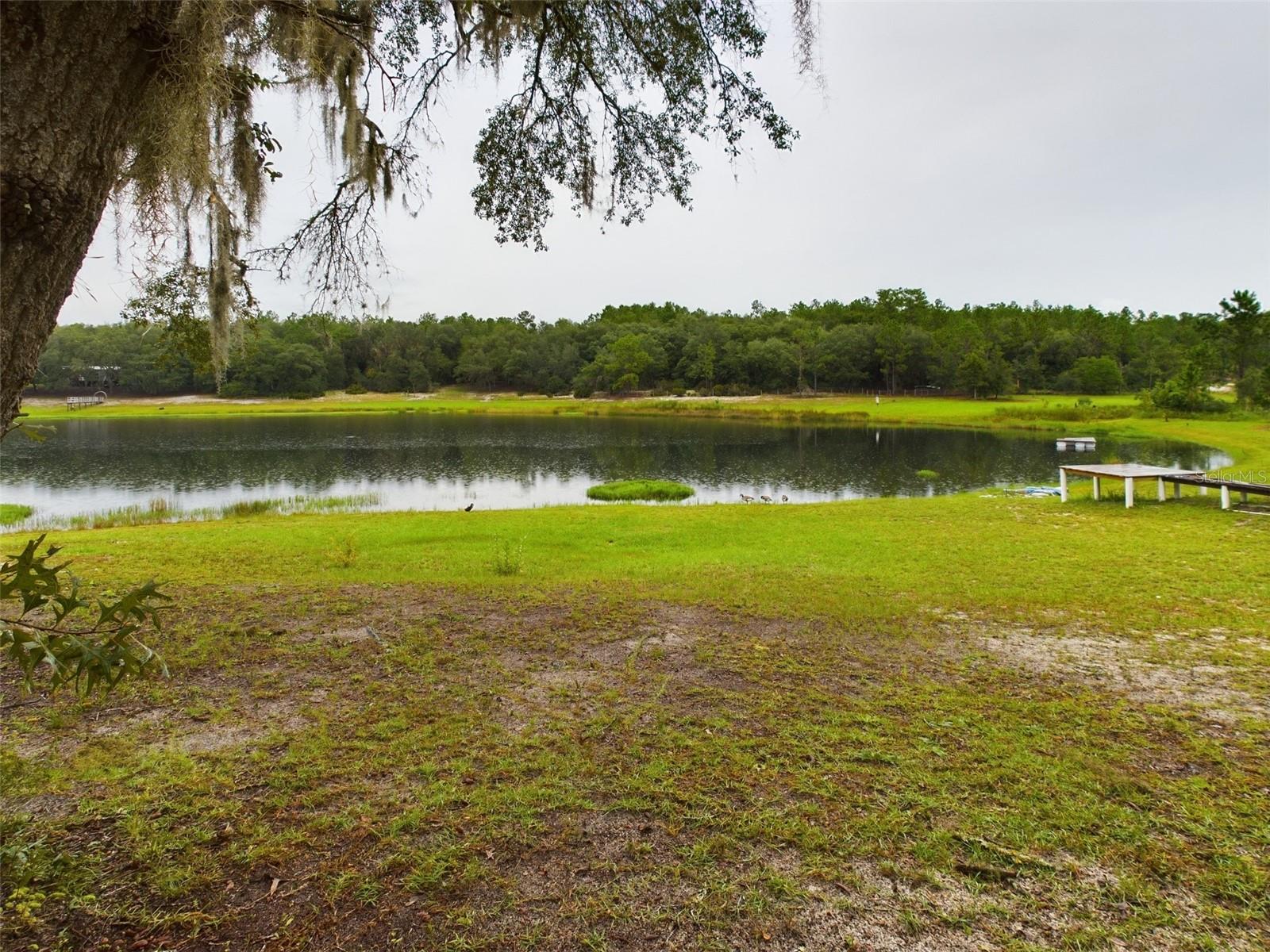 172 HOUR GLASS CIR, HAWTHORNE, FL, 32640