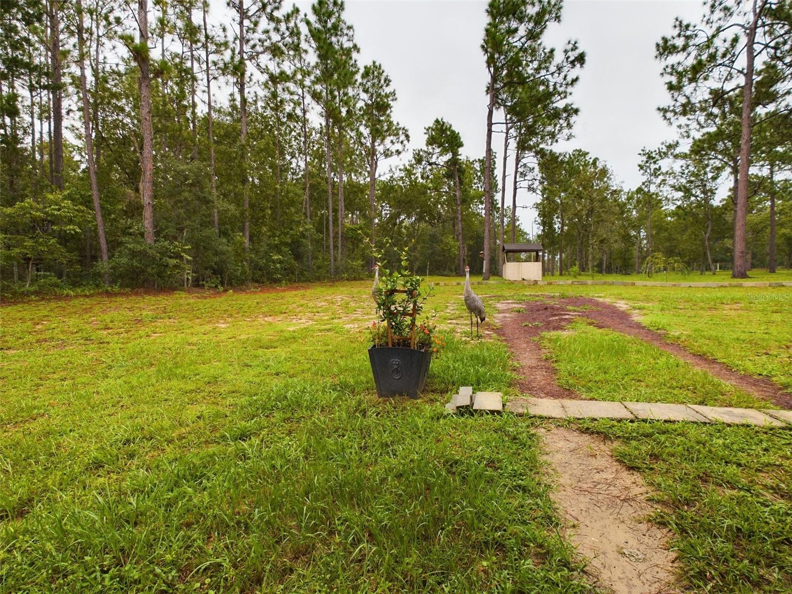 172 HOUR GLASS CIR, HAWTHORNE, FL, 32640