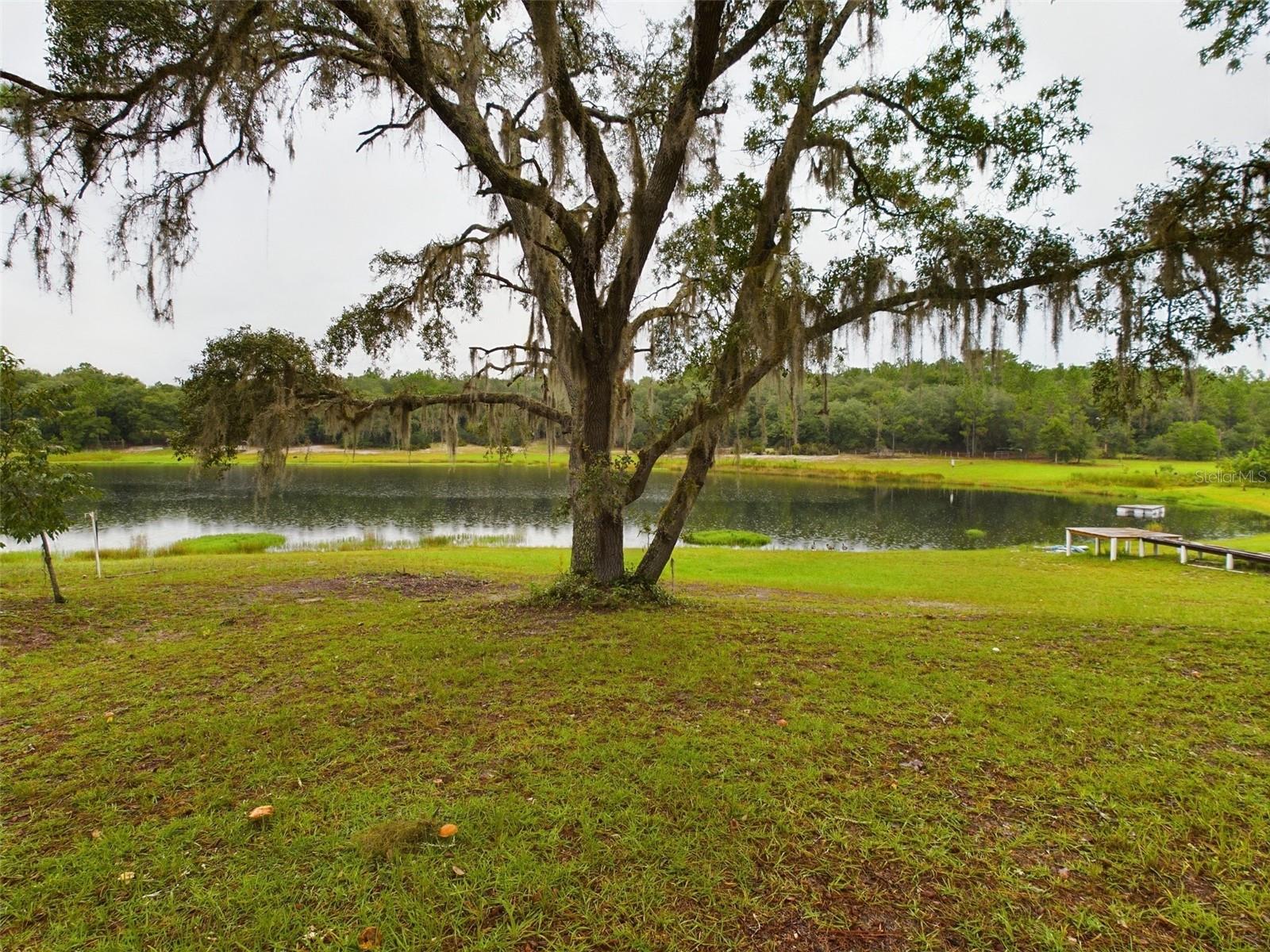 172 HOUR GLASS CIR, HAWTHORNE, FL, 32640