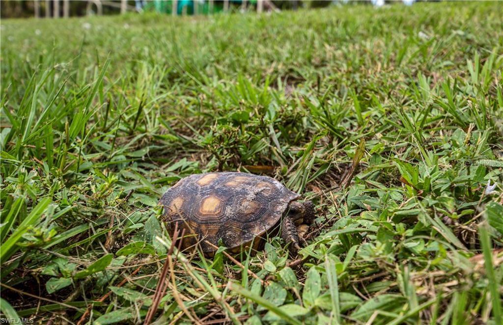 12533 GREEN GULF BLVD, PUNTA GORDA, FL, 33955