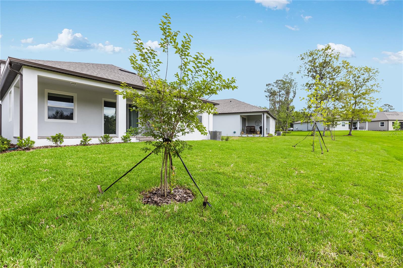19452 BRISTOL WOOD PL, BROOKSVILLE, FL, 34601