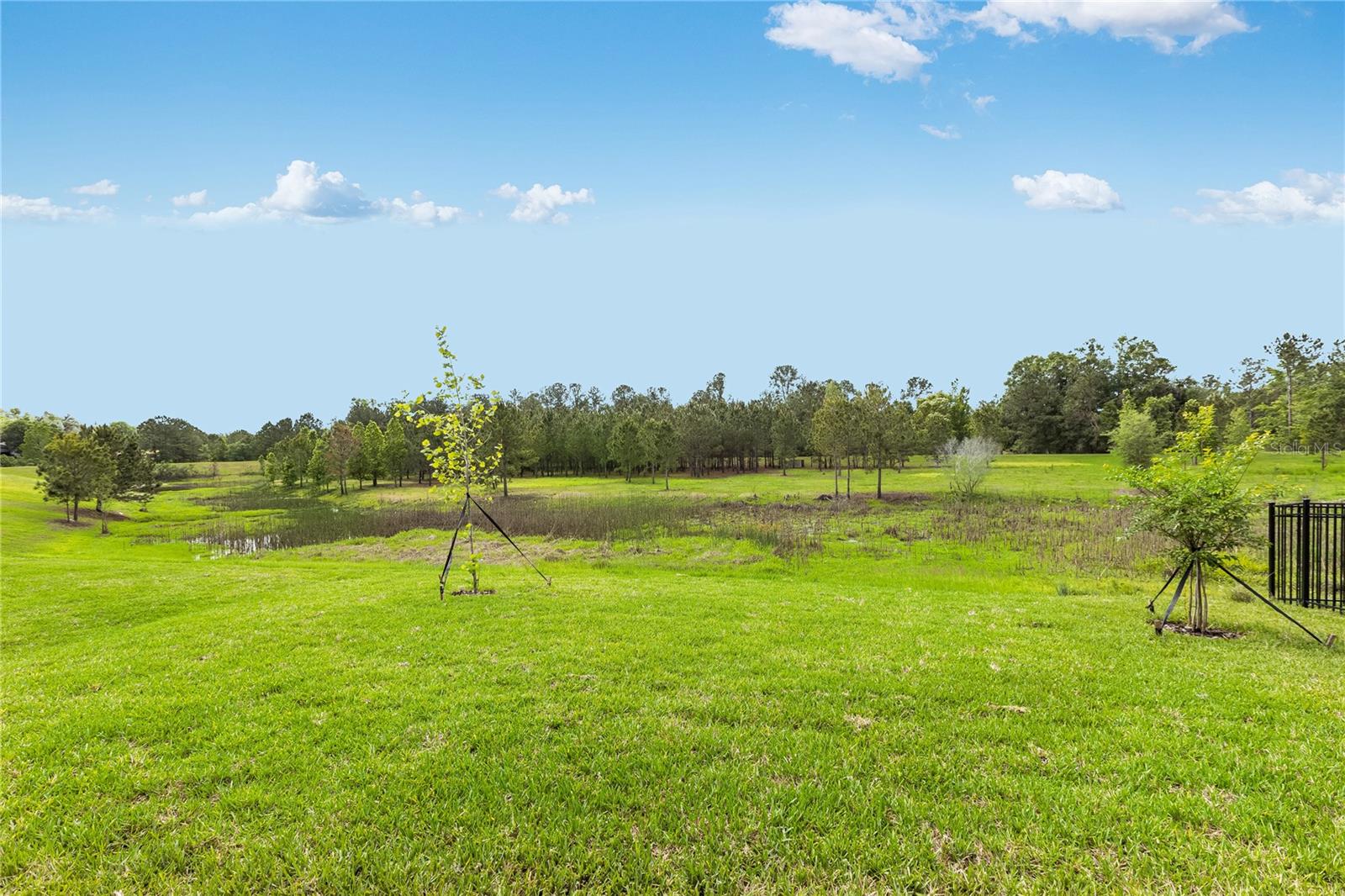 19452 BRISTOL WOOD PL, BROOKSVILLE, FL, 34601