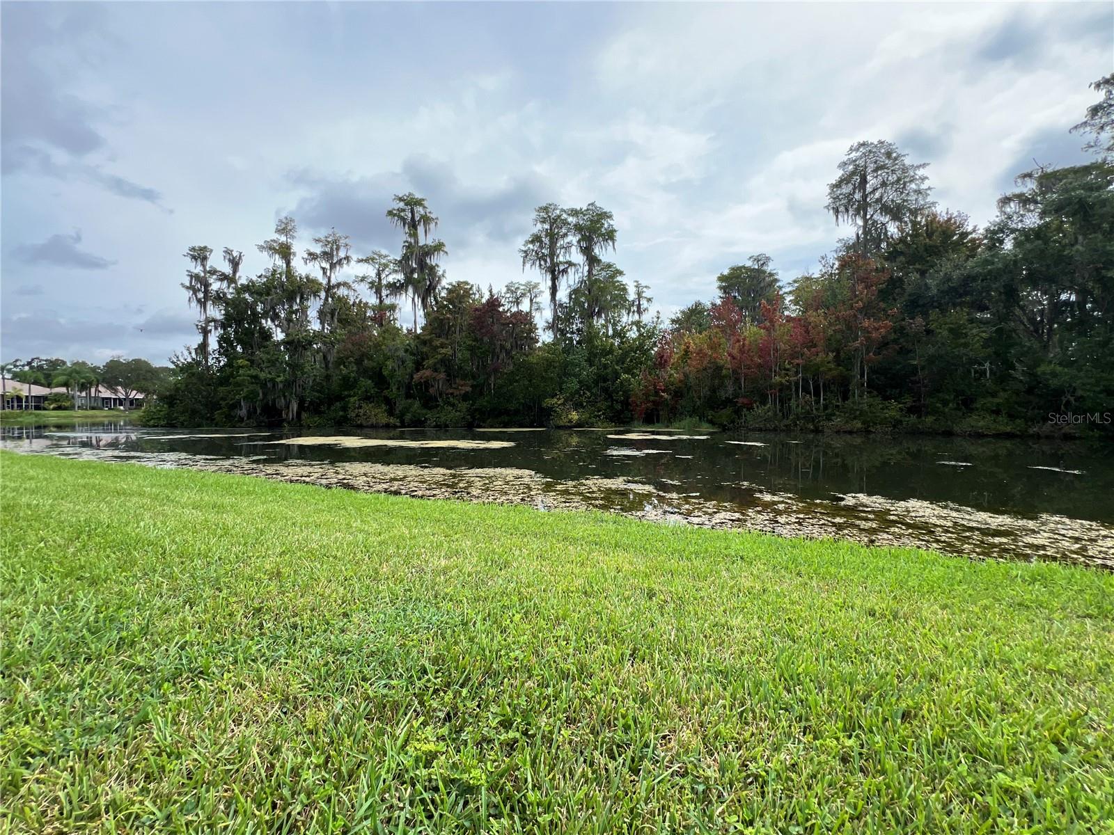 12026 BOYNTON LN #GB32, NEW PORT RICHEY, FL, 34654