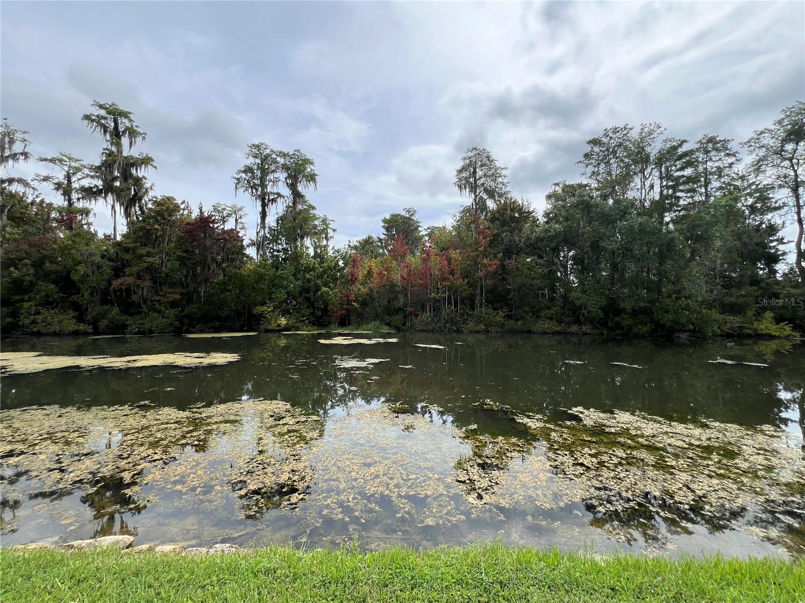 12026 BOYNTON LN #GB32, NEW PORT RICHEY, FL, 34654