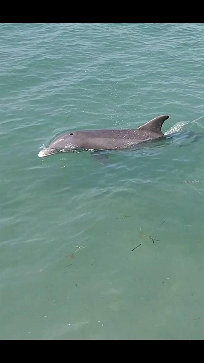 775 JOHN RINGLING BLVD ##22 Gladstone, SARASOTA, FL, 34236