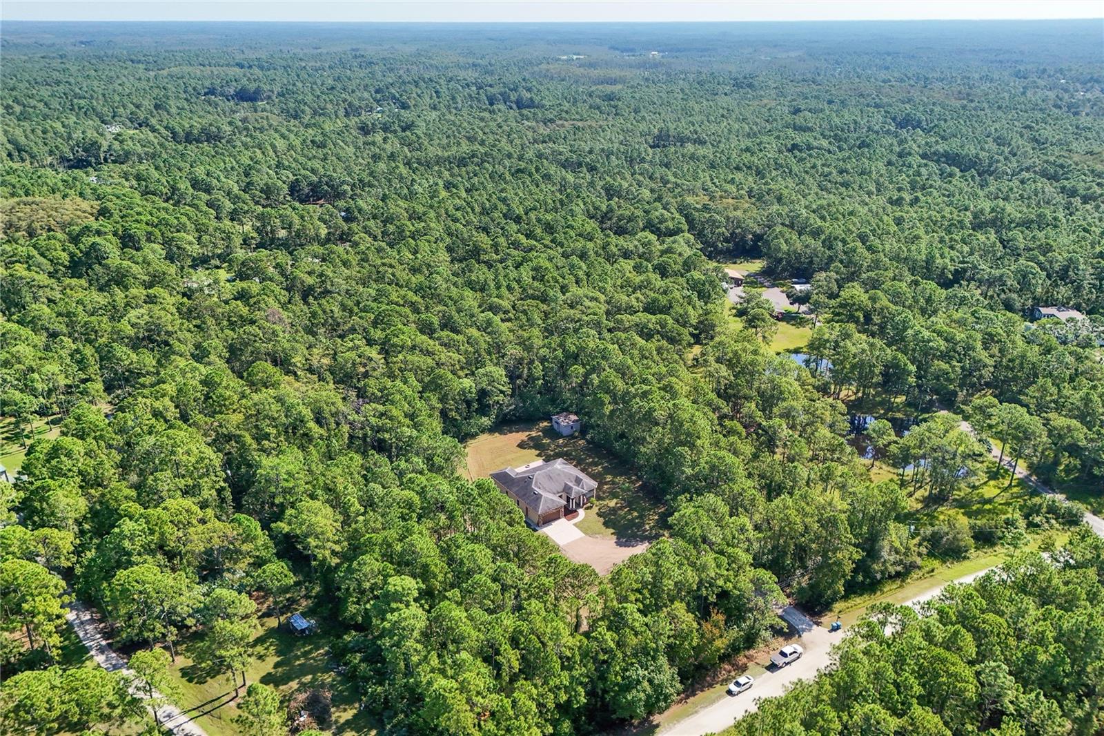 989 LEATHER FERN LN, MIMS, FL, 32754
