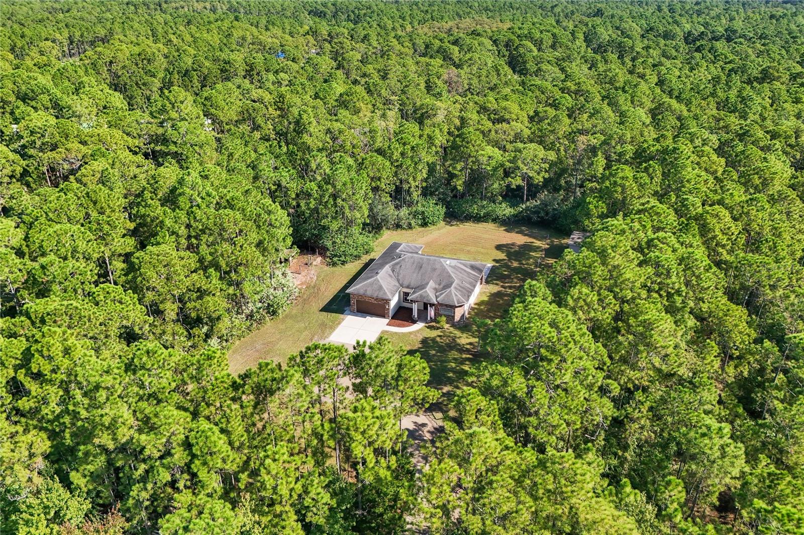989 LEATHER FERN LN, MIMS, FL, 32754