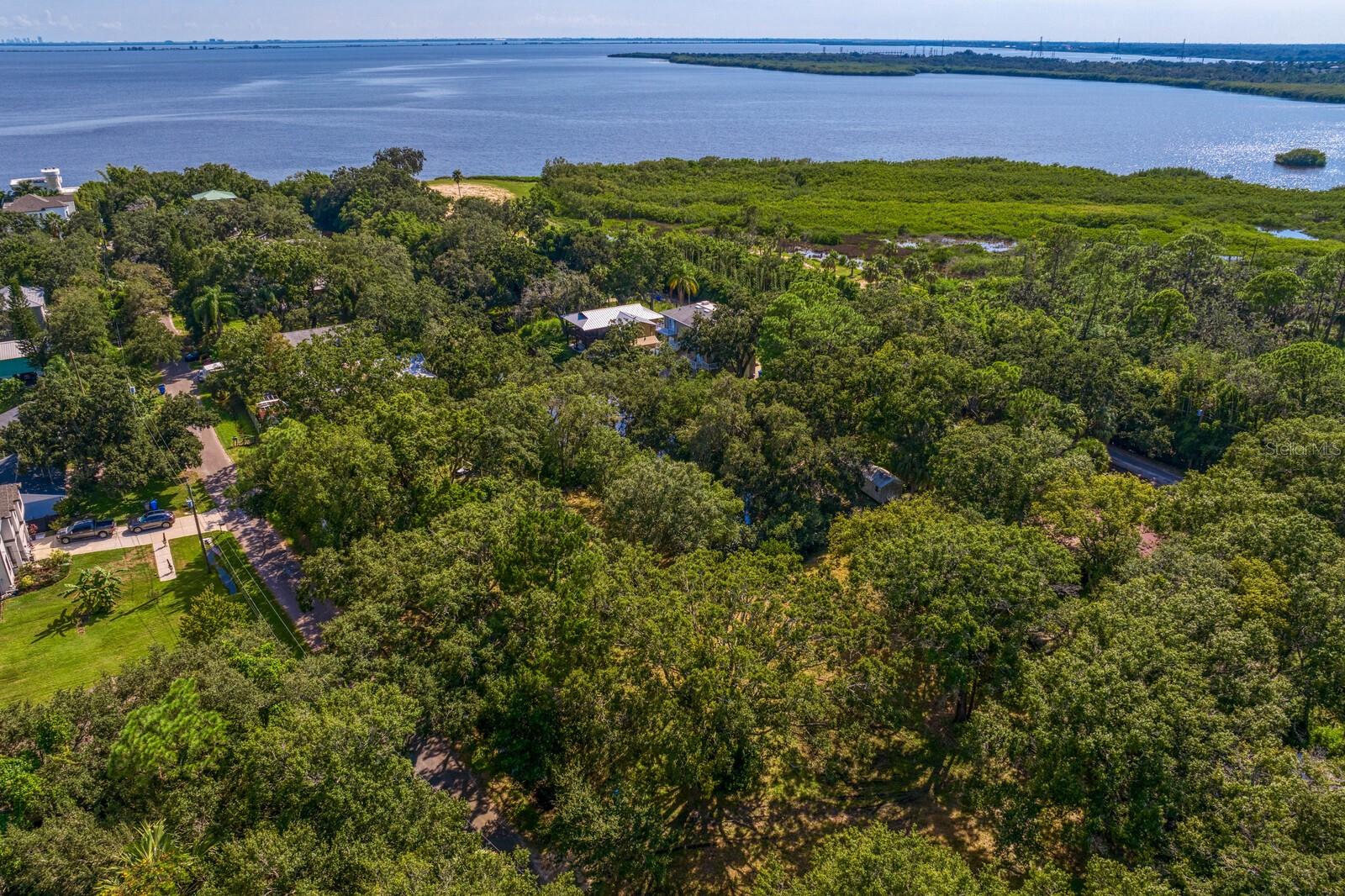 7434 SEAGULL WAY, TAMPA, FL, 33635