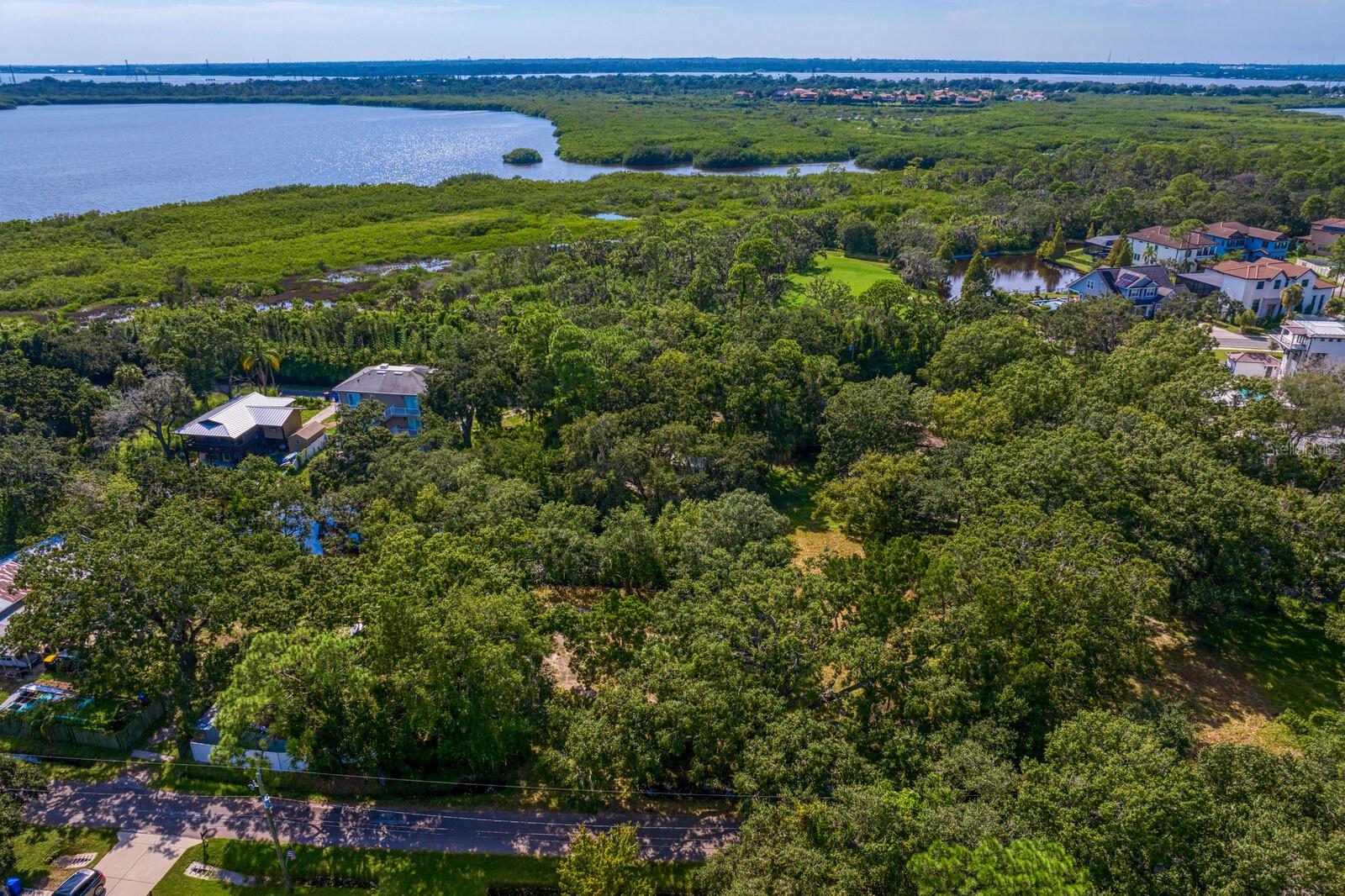 7434 SEAGULL WAY, TAMPA, FL, 33635