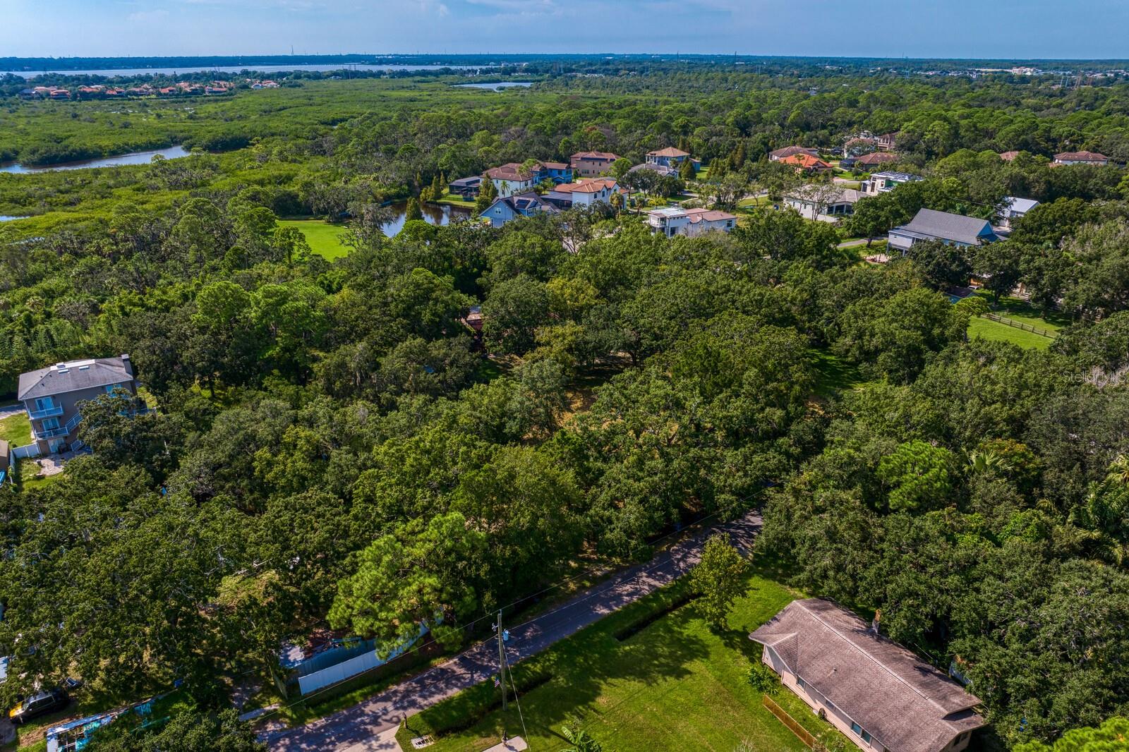 7434 SEAGULL WAY, TAMPA, FL, 33635