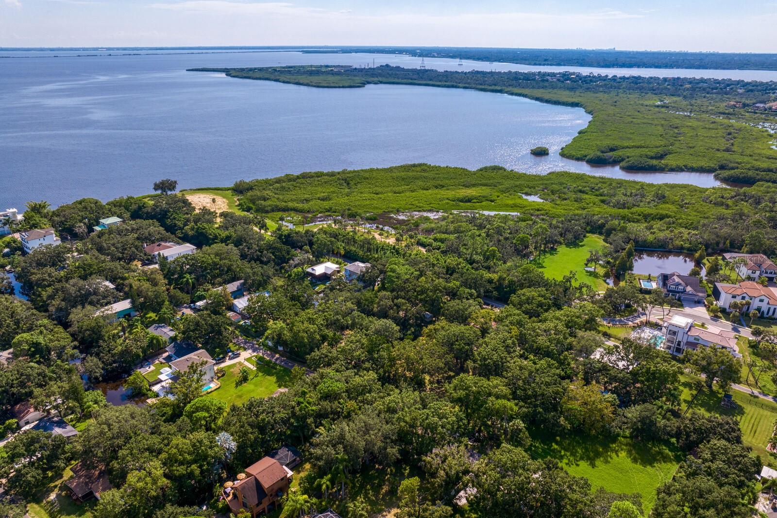 7434 SEAGULL WAY, TAMPA, FL, 33635