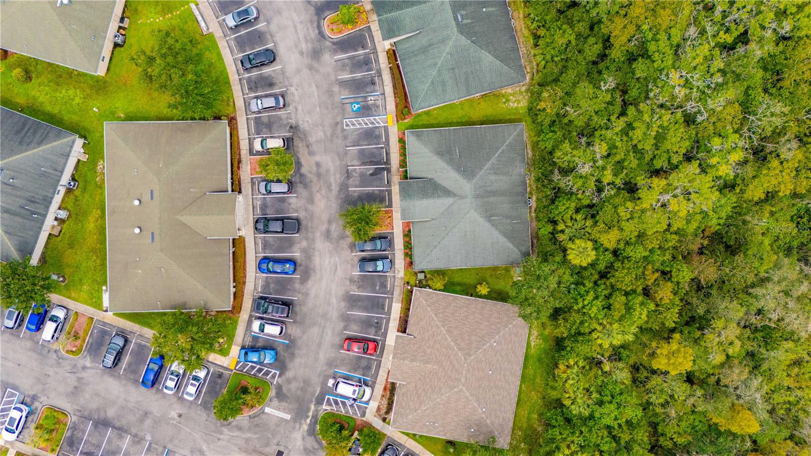 2312 CYPREES CV, WESLEY CHAPEL, FL, 33544