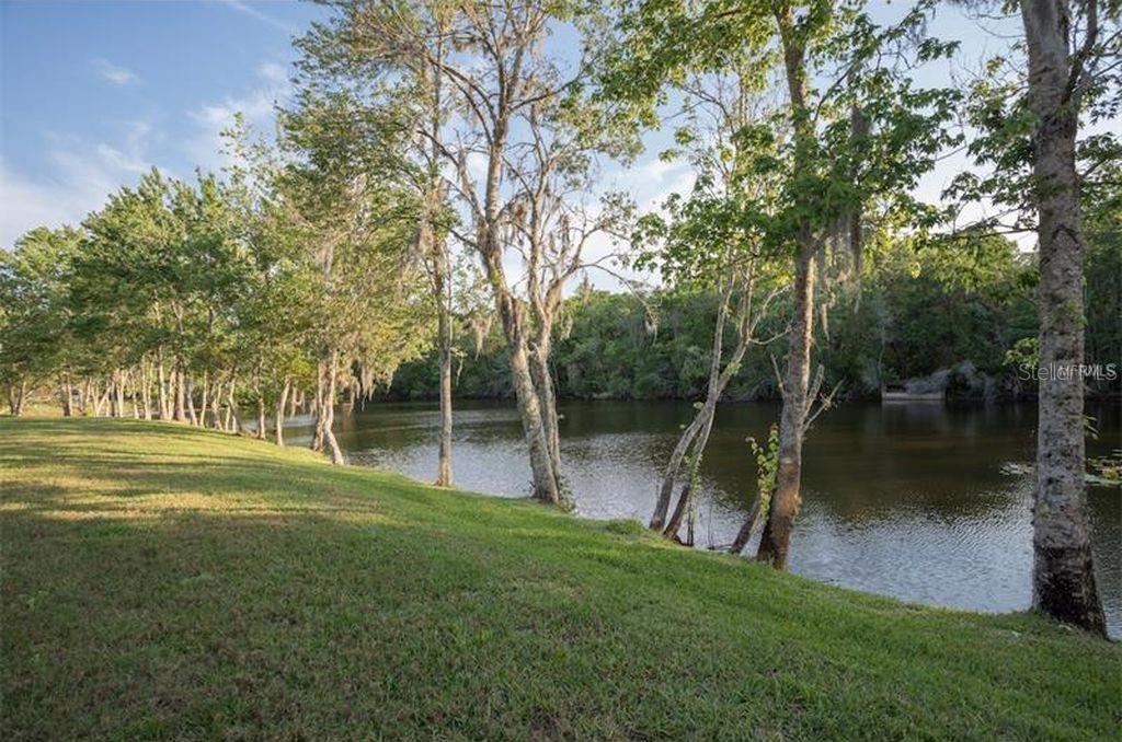 15215 AMBERLY DR #206, TAMPA, FL, 33647