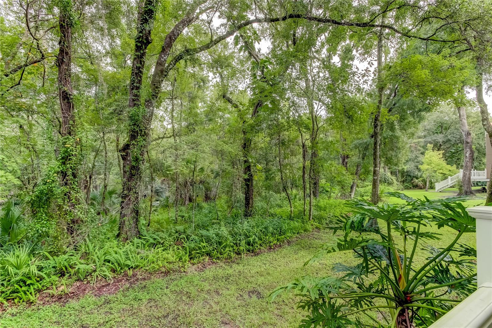 15215 AMBERLY DR #206, TAMPA, FL, 33647