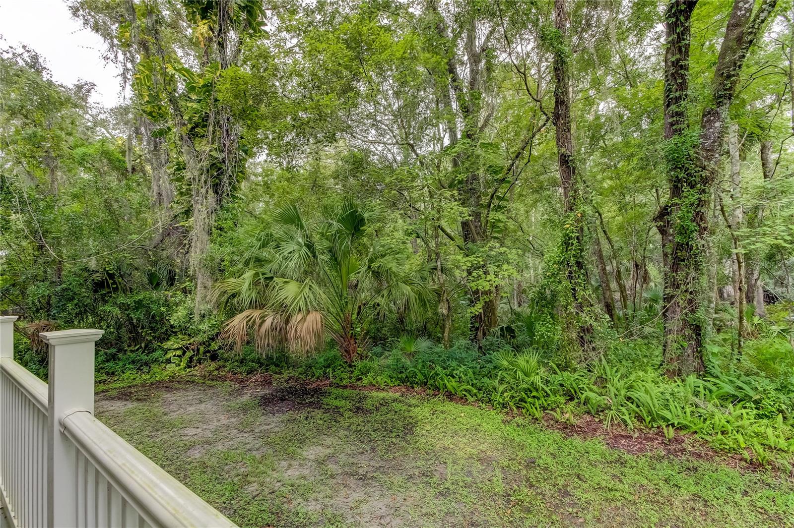 15215 AMBERLY DR #206, TAMPA, FL, 33647