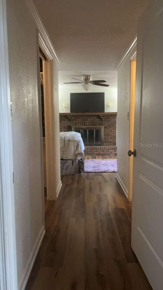 1015 LAKE EMERALD DR, ORLANDO, FL, 32806