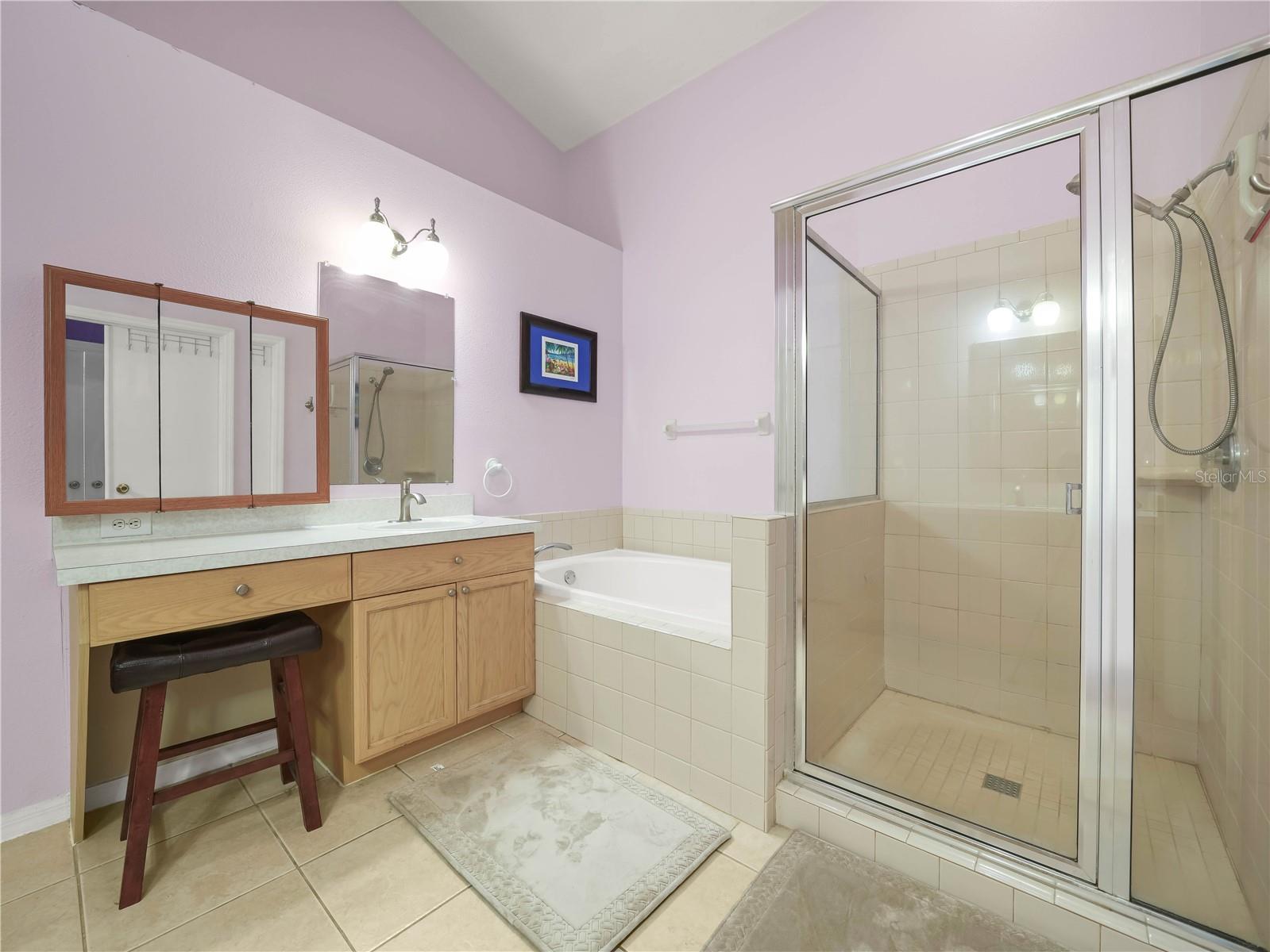 10507 GOLDWATER LN, RIVERVIEW, FL, 33569