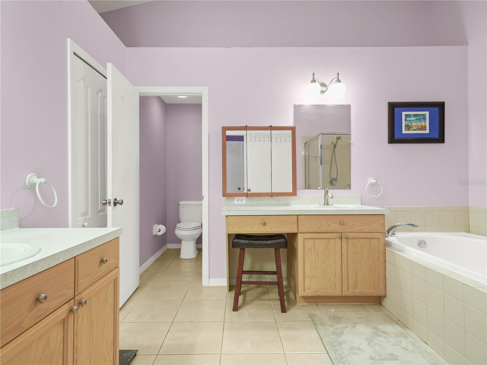 10507 GOLDWATER LN, RIVERVIEW, FL, 33569