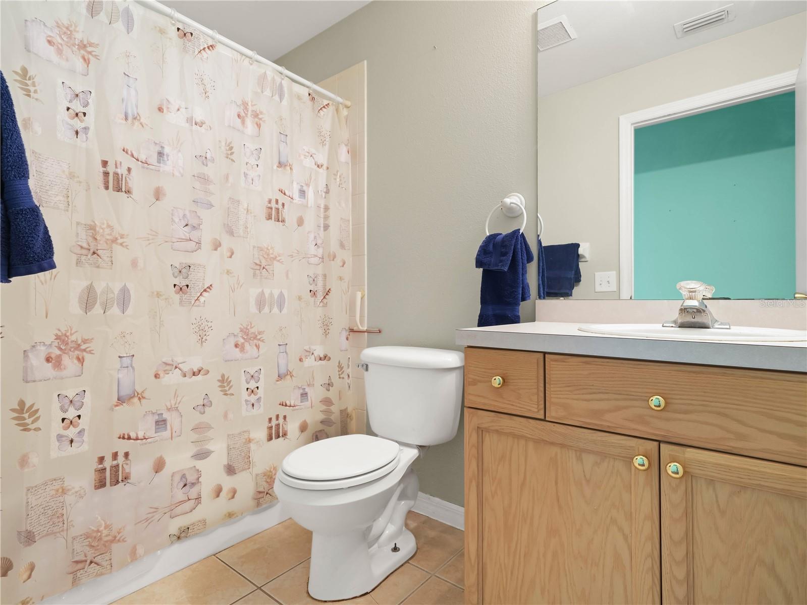 10507 GOLDWATER LN, RIVERVIEW, FL, 33569