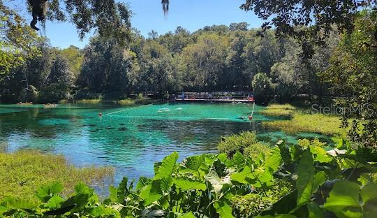 9944 N WAYLAND AVE, CITRUS SPRINGS, FL, 34434
