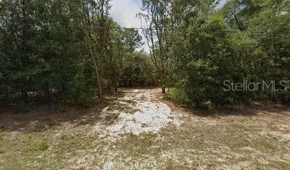 9944 N WAYLAND AVE, CITRUS SPRINGS, FL, 34434