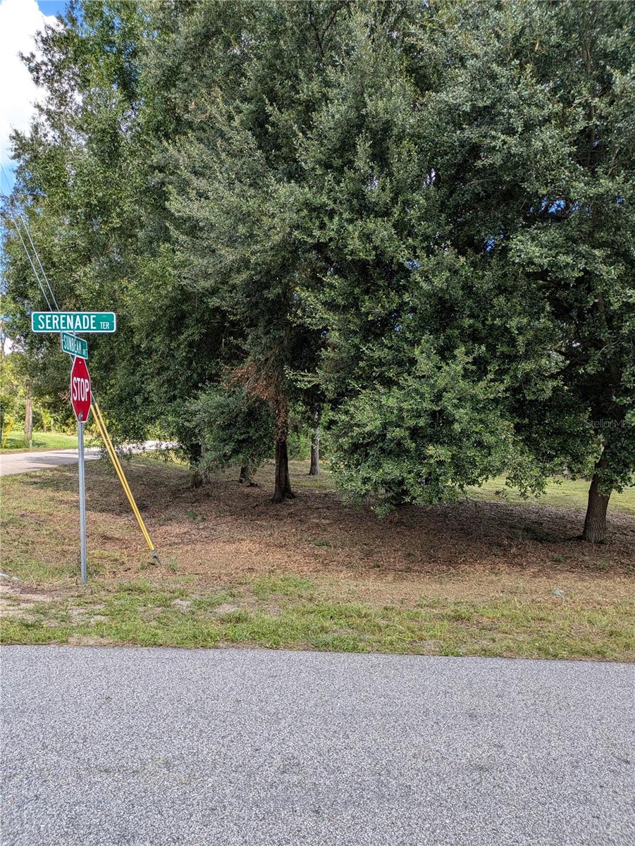 675 SERENADE TER, LAKE PLACID, FL, 33852