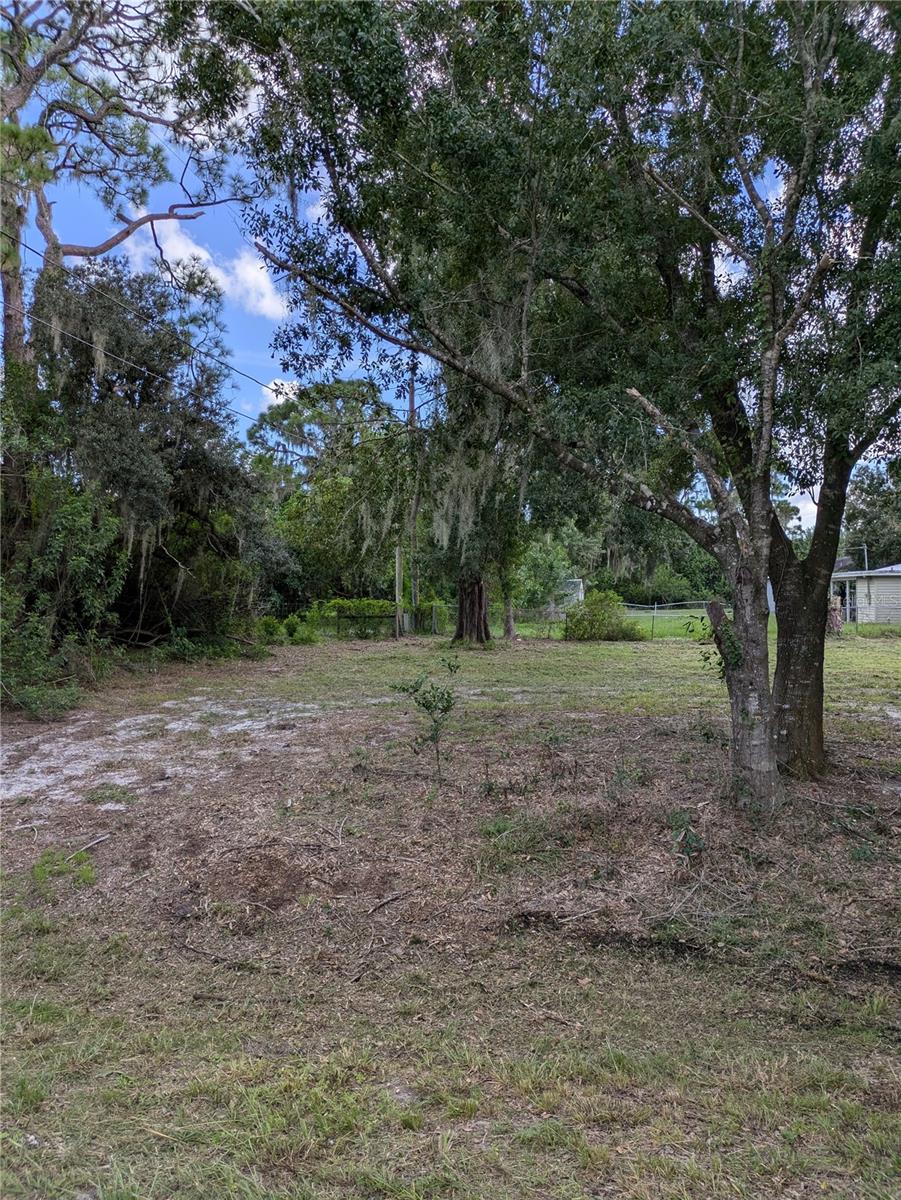 675 SERENADE TER, LAKE PLACID, FL, 33852