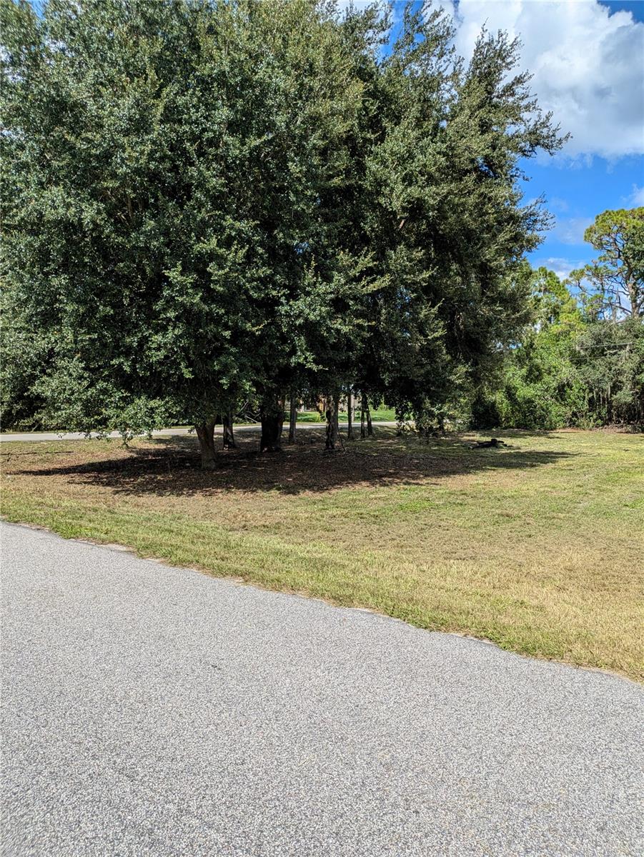 675 SERENADE TER, LAKE PLACID, FL, 33852