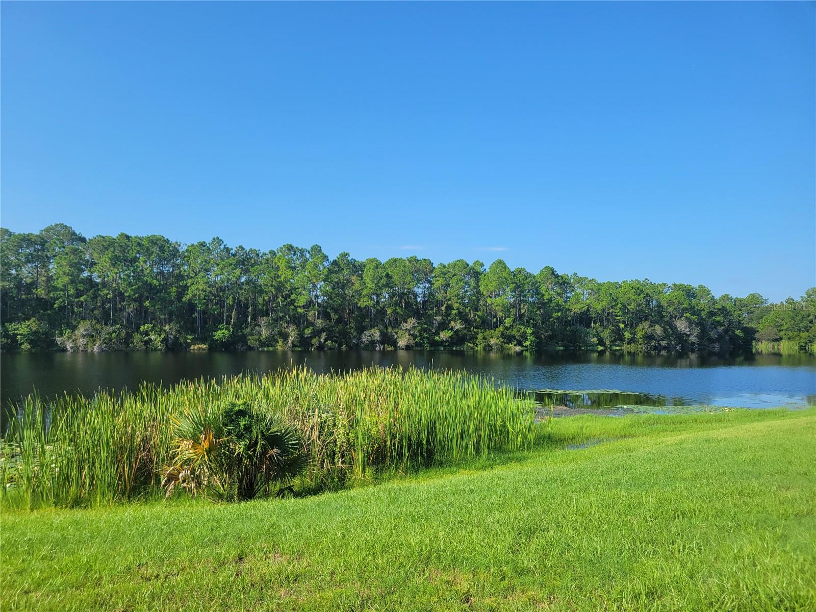 48 EAGLE DR, FLAGLER BEACH, FL, 32136