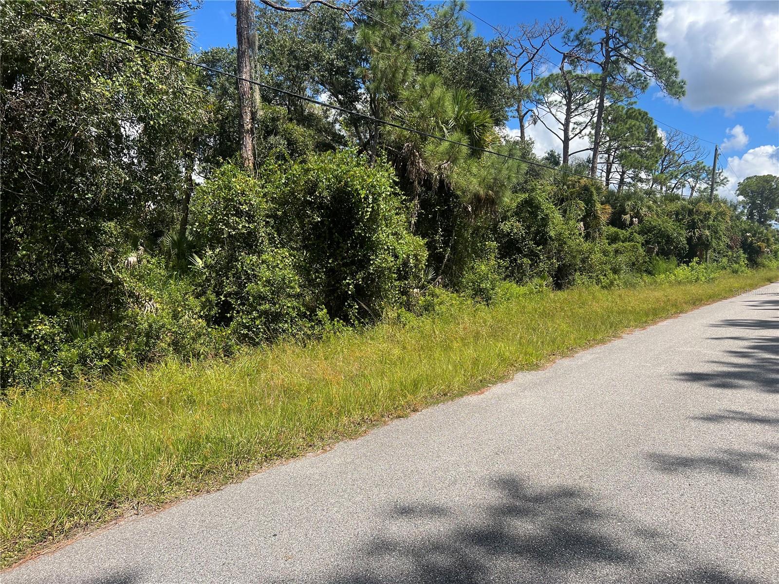 Lot 48 ALFALFA AVE, NORTH PORT, FL, 34291