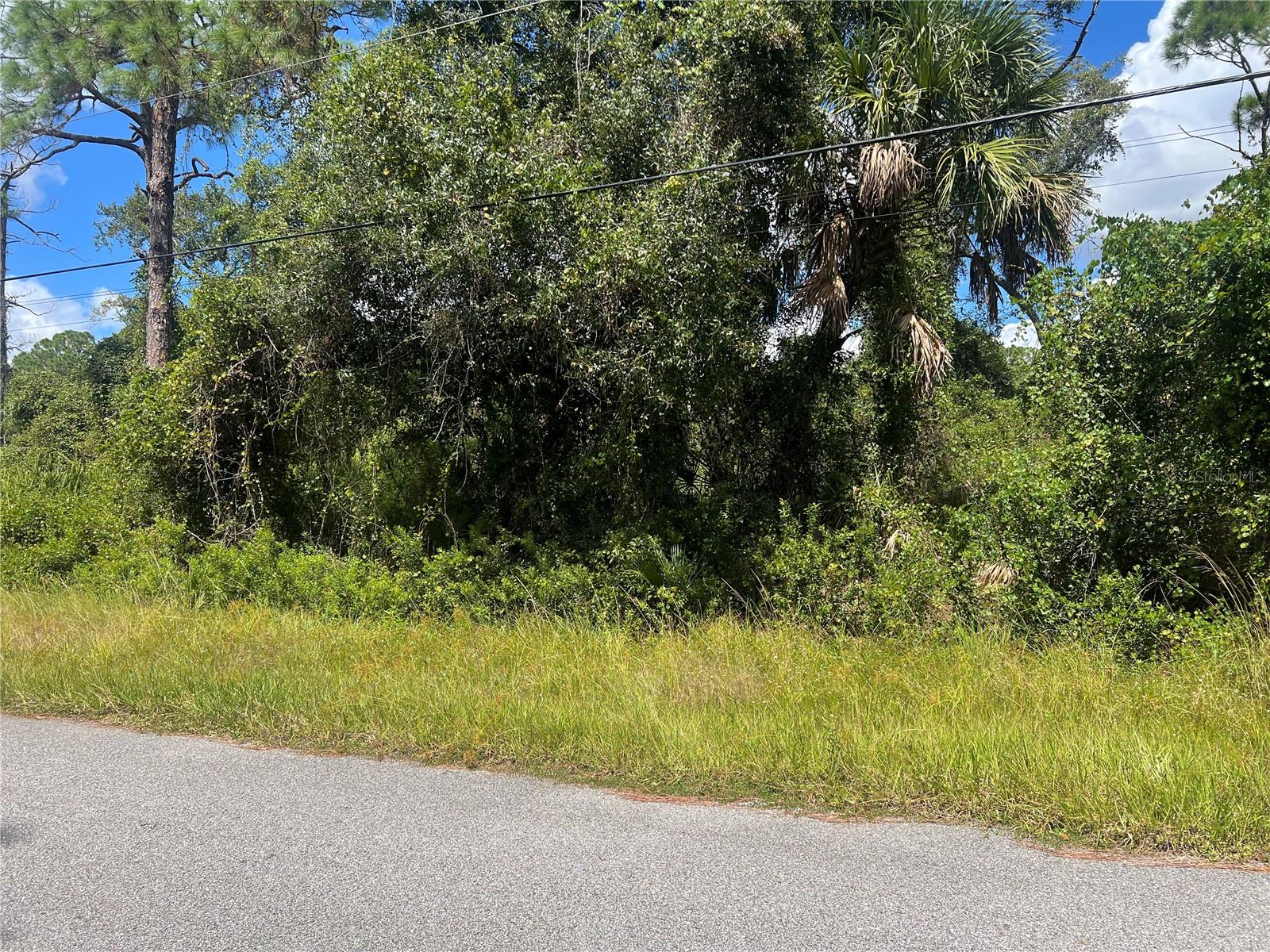 Lot 48 ALFALFA AVE, NORTH PORT, FL, 34291
