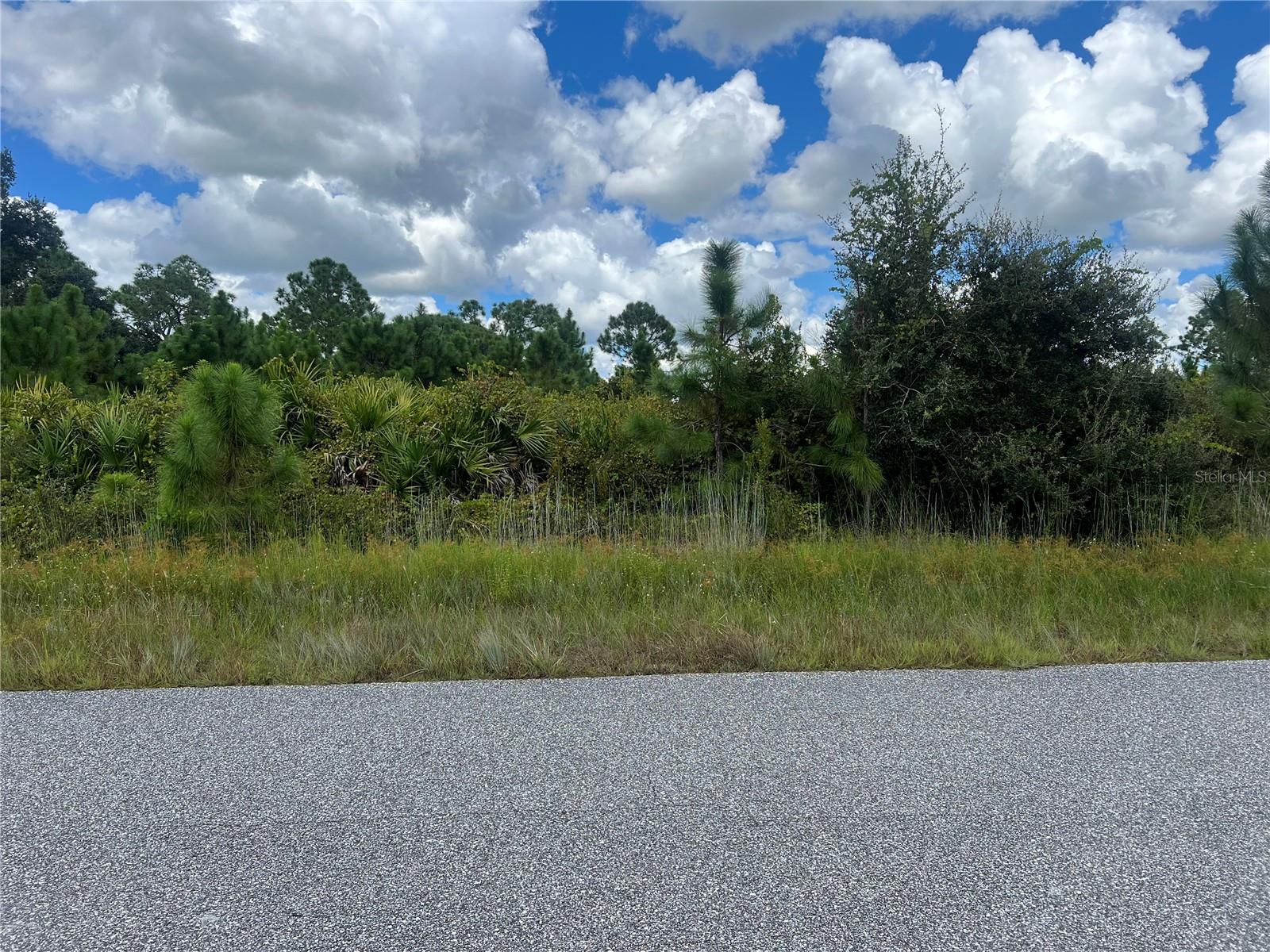 Lot 8 PAGADO LN, NORTH PORT, FL, 34291