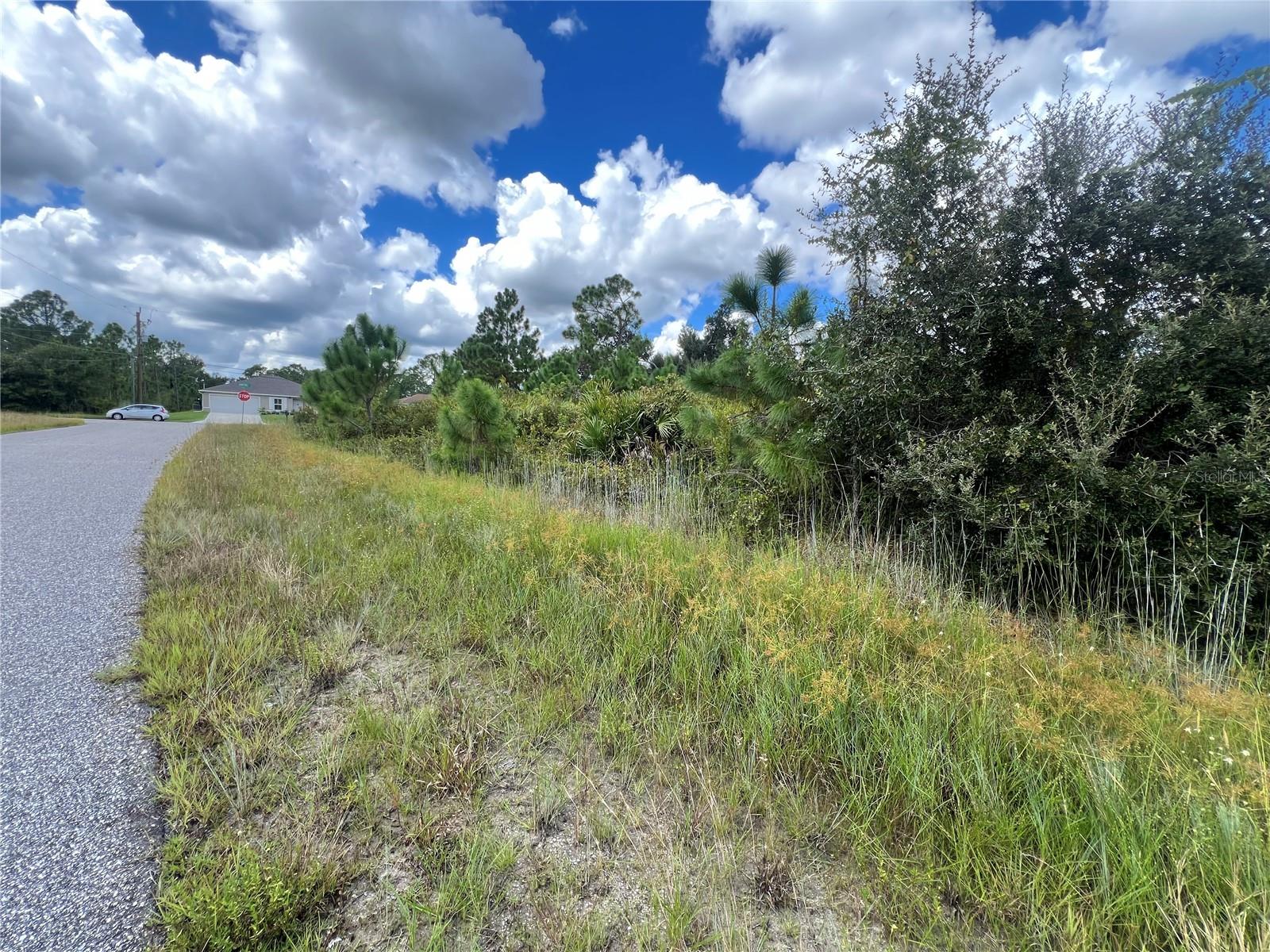 Lot 8 PAGADO LN, NORTH PORT, FL, 34291