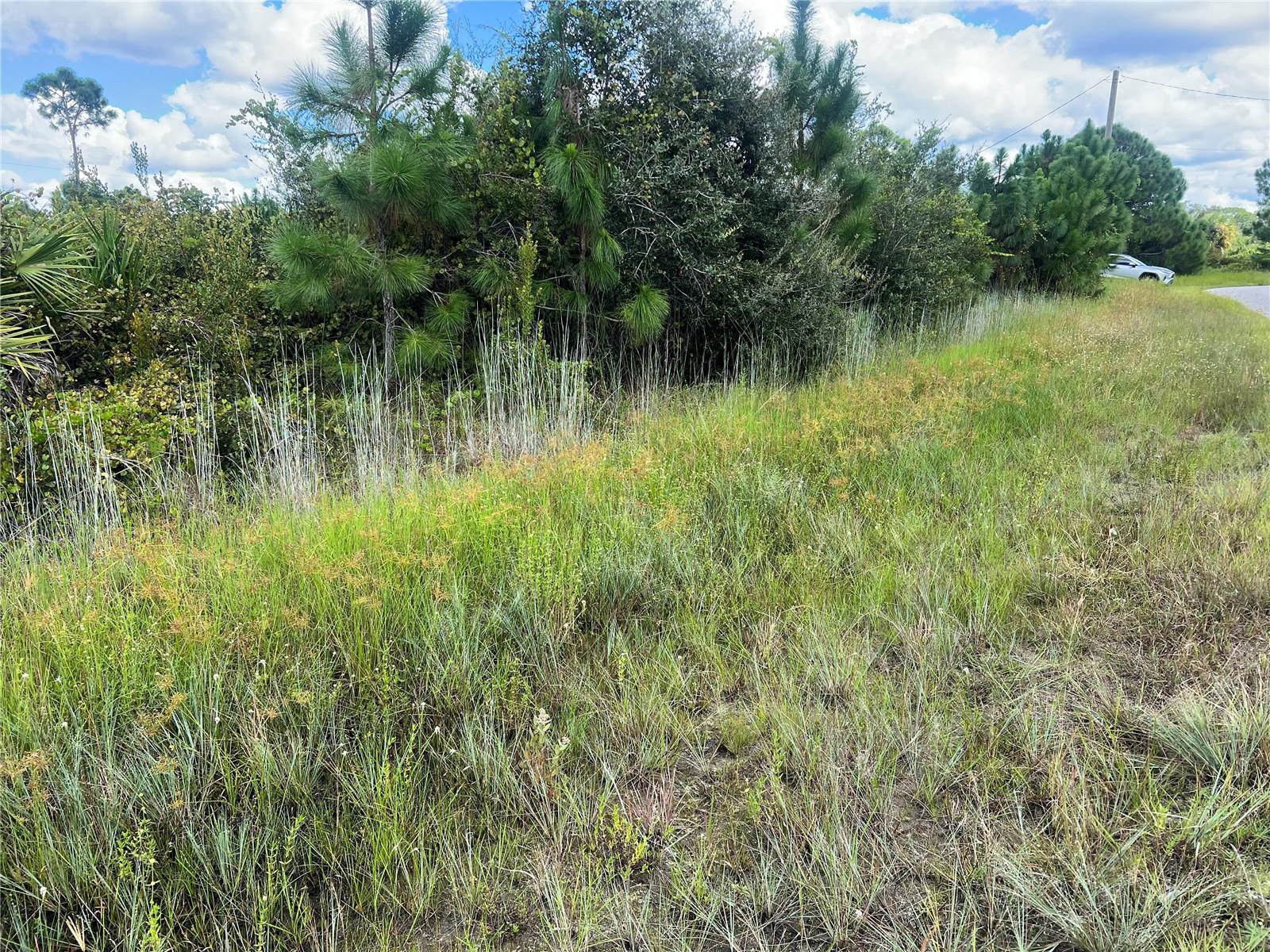Lot 8 PAGADO LN, NORTH PORT, FL, 34291