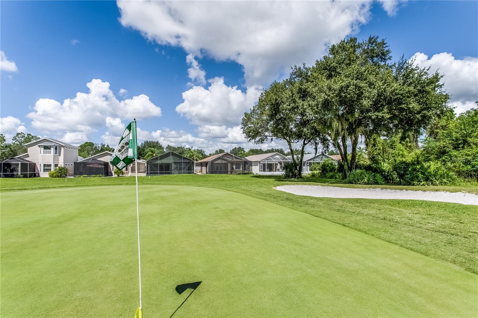 8048 SANGUINELLI RD, LAND O LAKES, FL, 34637