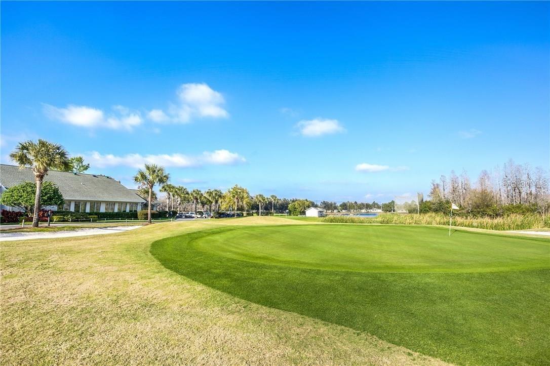 8048 SANGUINELLI RD, LAND O LAKES, FL, 34637