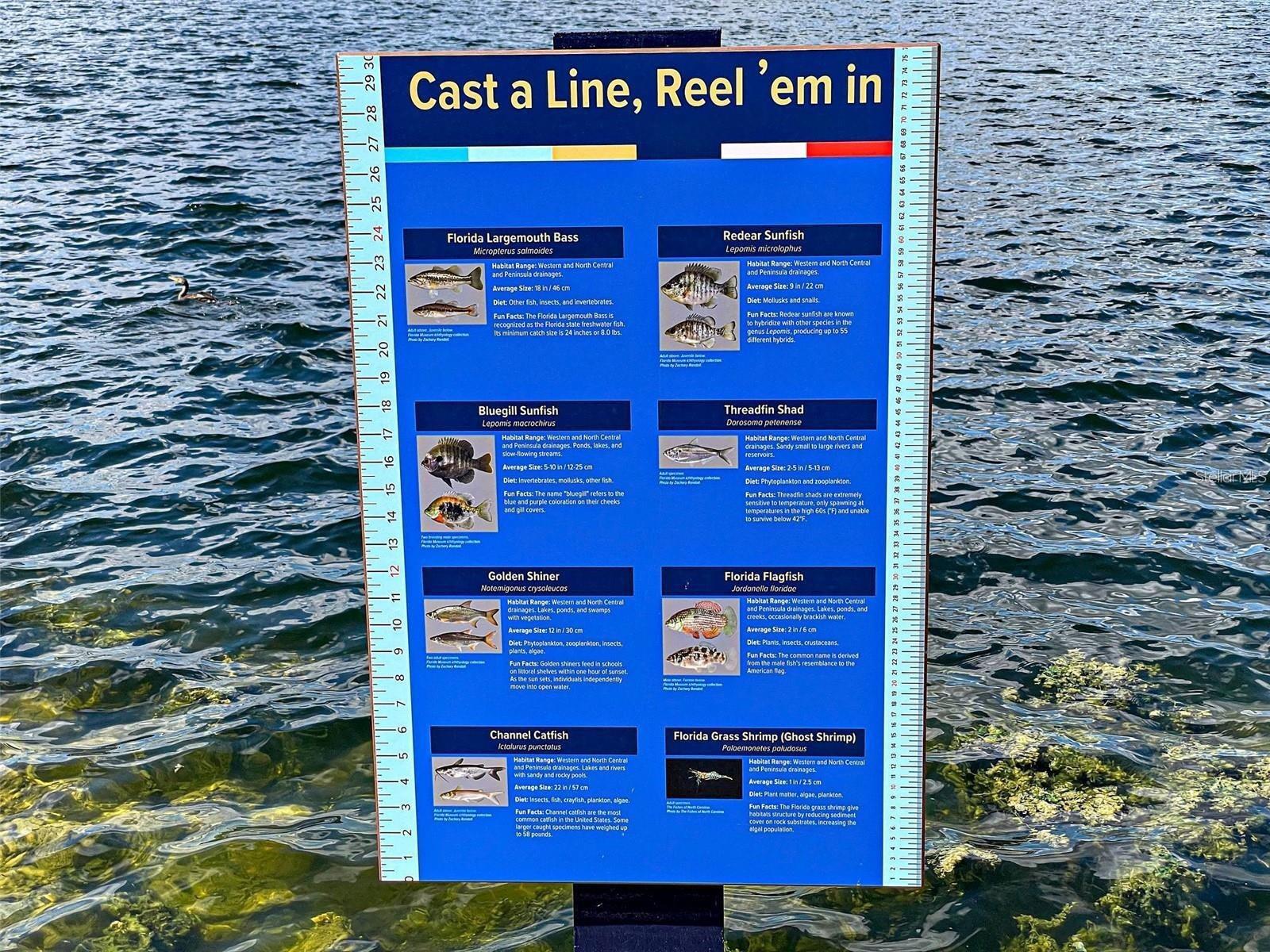 225 BRIGHTON CT, ENGLEWOOD, FL, 34223