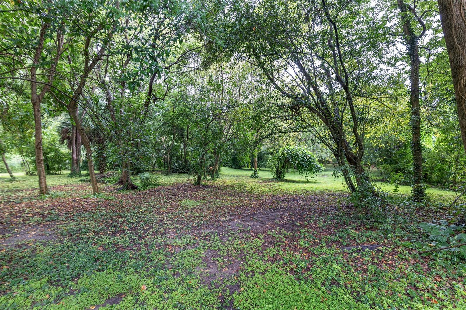 14611 NW 144TH ST, ALACHUA, FL, 32615