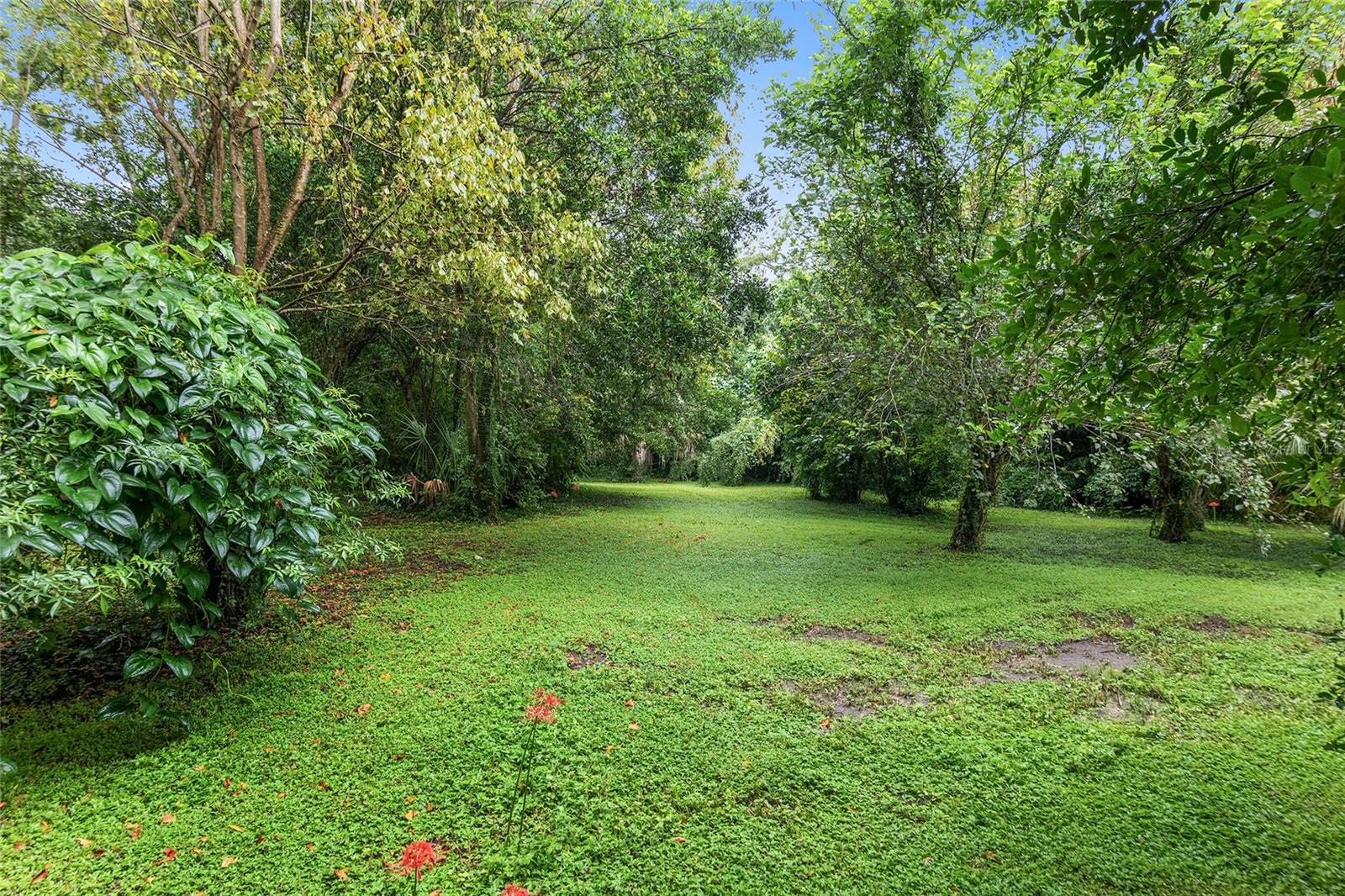 14611 NW 144TH ST, ALACHUA, FL, 32615