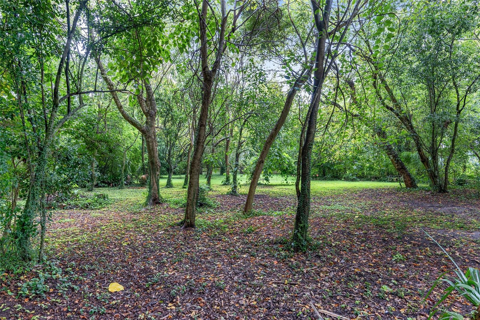 14611 NW 144TH ST, ALACHUA, FL, 32615
