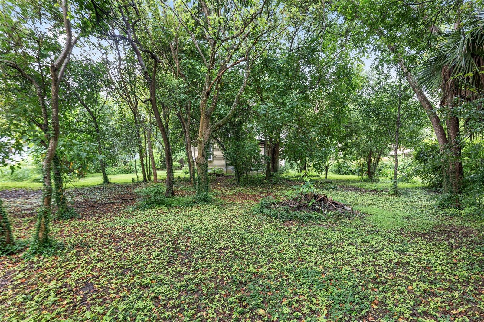 14611 NW 144TH ST, ALACHUA, FL, 32615