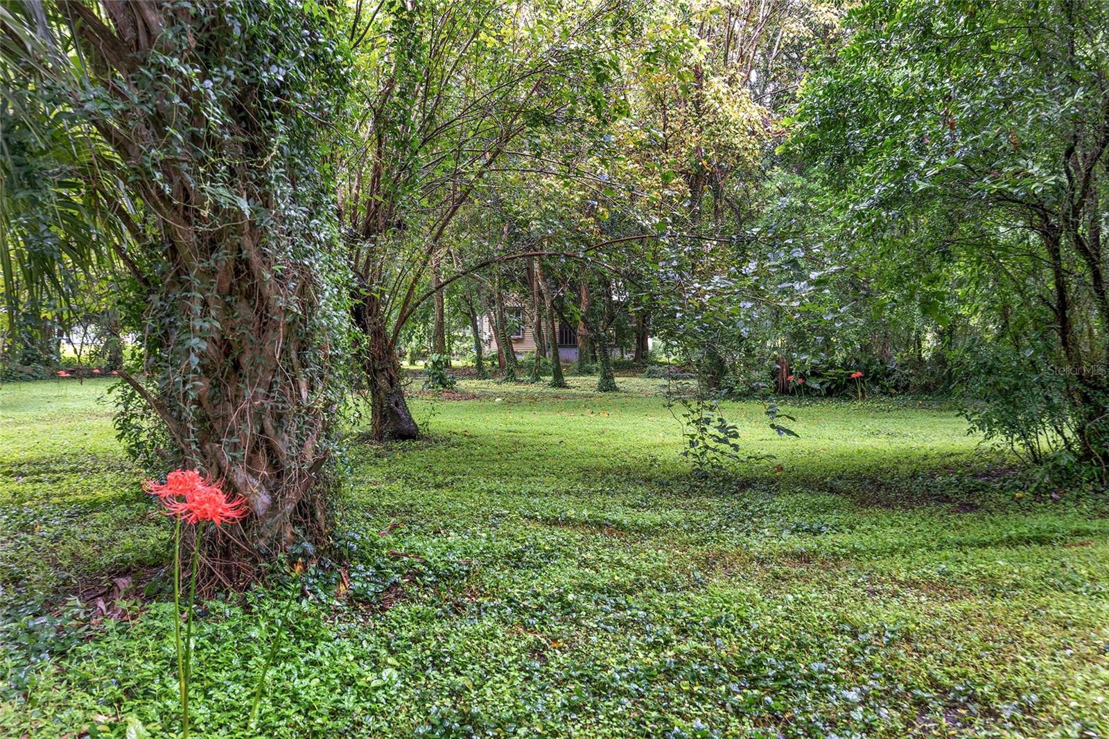 14611 NW 144TH ST, ALACHUA, FL, 32615
