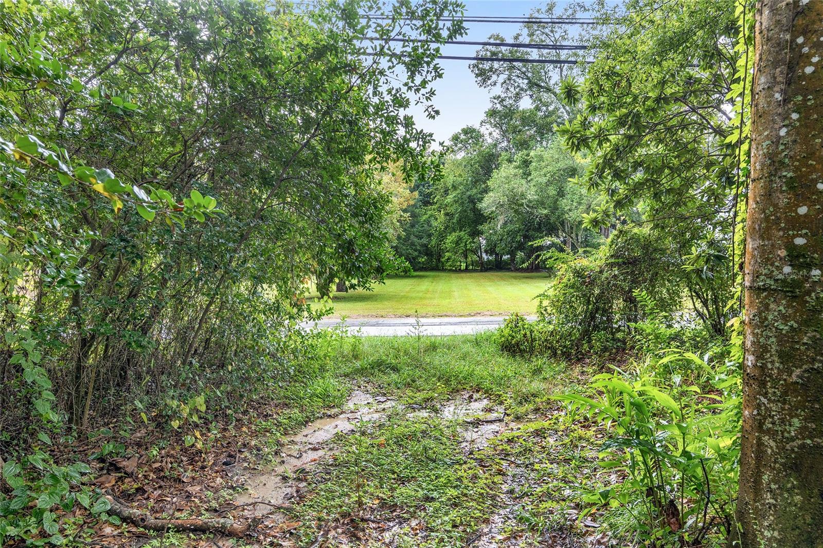 14611 NW 144TH ST, ALACHUA, FL, 32615
