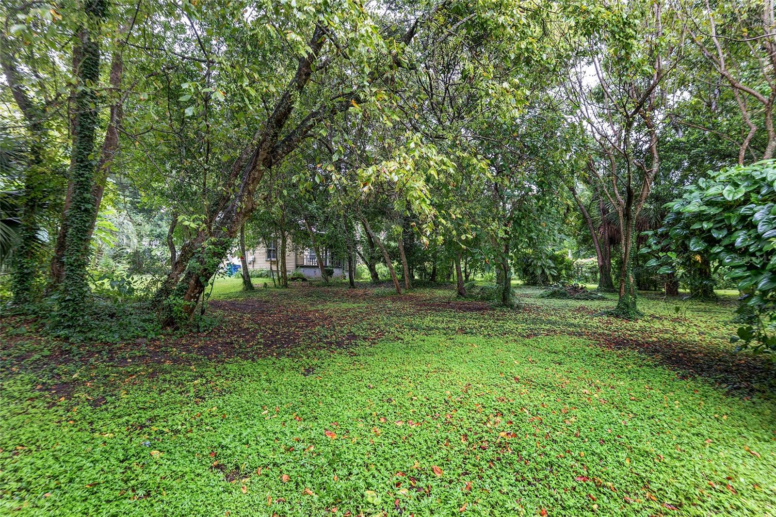 14611 NW 144TH ST, ALACHUA, FL, 32615
