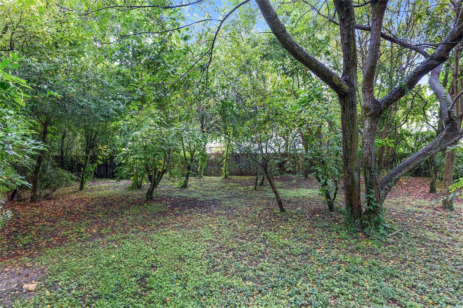 14611 NW 144TH ST, ALACHUA, FL, 32615