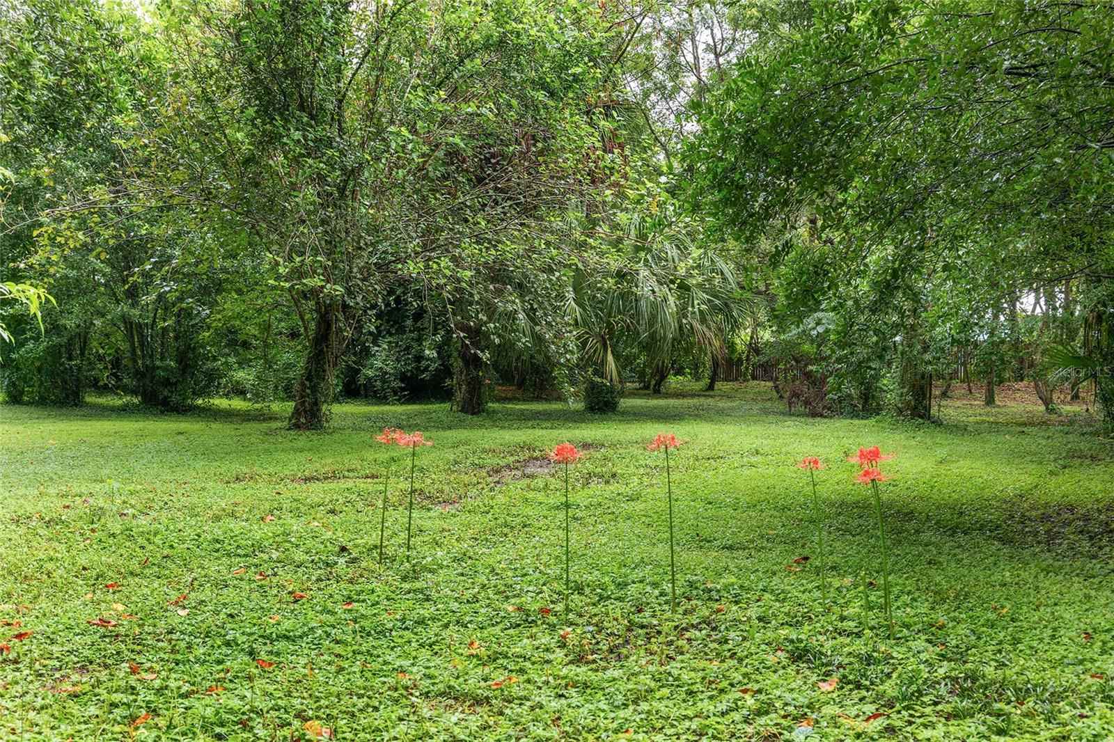 14611 NW 144TH ST, ALACHUA, FL, 32615