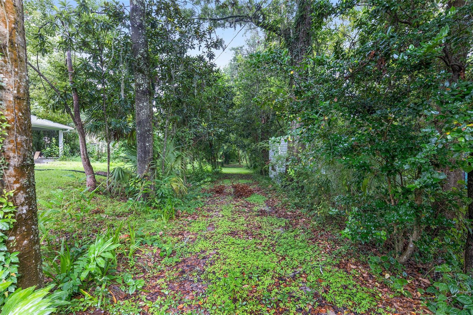14611 NW 144TH ST, ALACHUA, FL, 32615