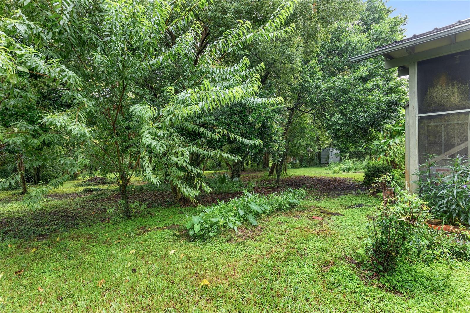 14611 NW 144TH ST, ALACHUA, FL, 32615