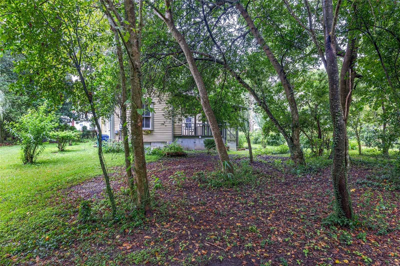 14611 NW 144TH ST, ALACHUA, FL, 32615